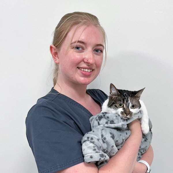 Veterinary Nursing Assistant