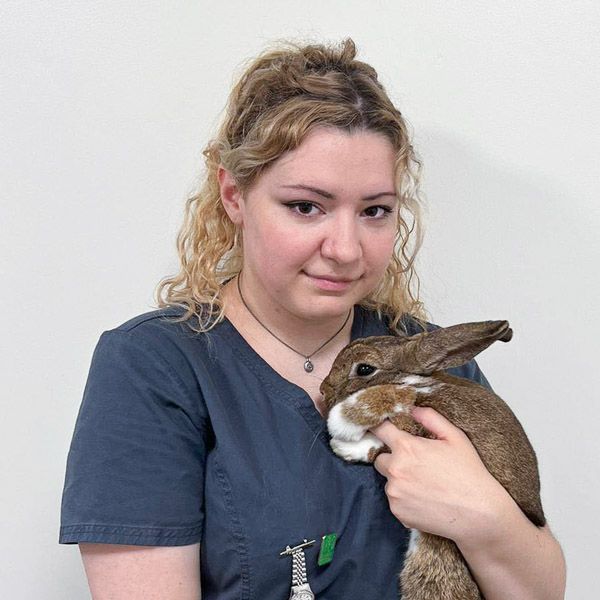 Veterinary Nursing Assistant