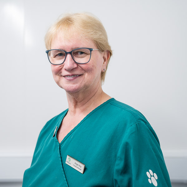 Ange Hoy - Kinfauns Veterinary Centre (Web)