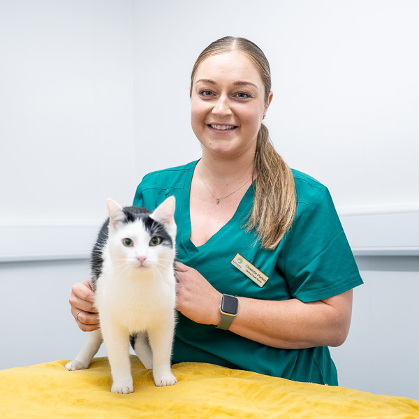 Charlotte Parkes - Kinfauns Veterinary Centre (Web)-2