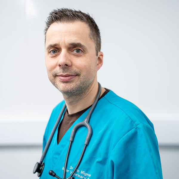 Eric Mignon - Kinfauns Veterinary Centre (Web)