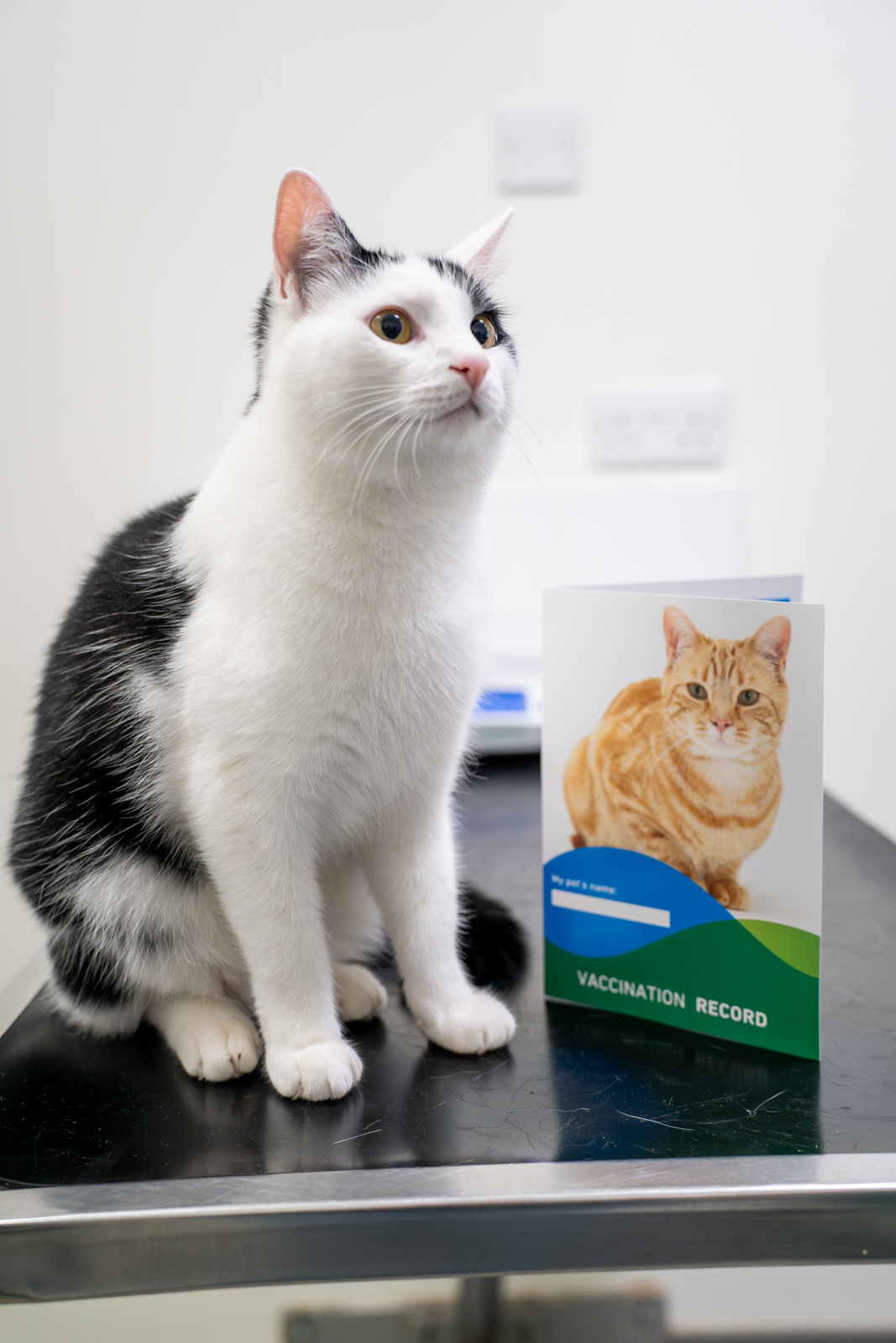 Kinfauns Veterinary Centre (Web) 082